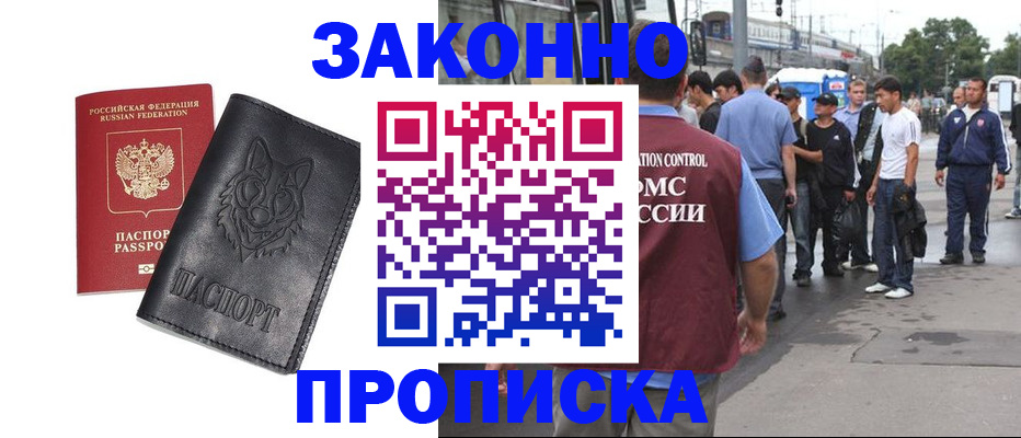 прописка поиск в Палласовке